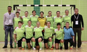 znk celje 2014