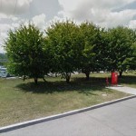 nekdanje cesnje 2015