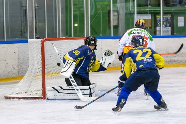 hk celje feldkirch 2015