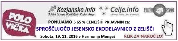 delavnica-zelisca-polsi-klik