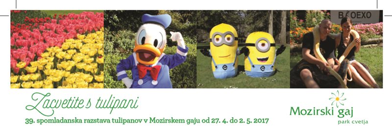tulipani22