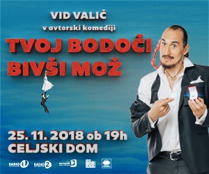 tbbm_300x250_celje